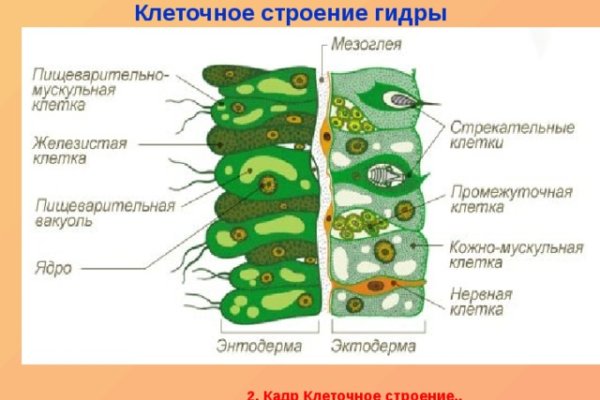 Кракен ссылки krakenwebs org