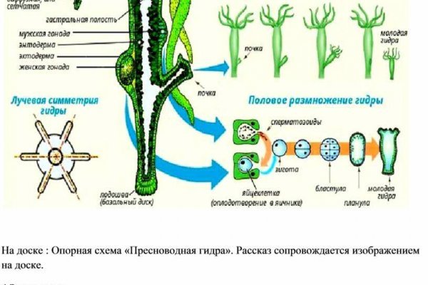 Какая комиссия кракен маркетплейс